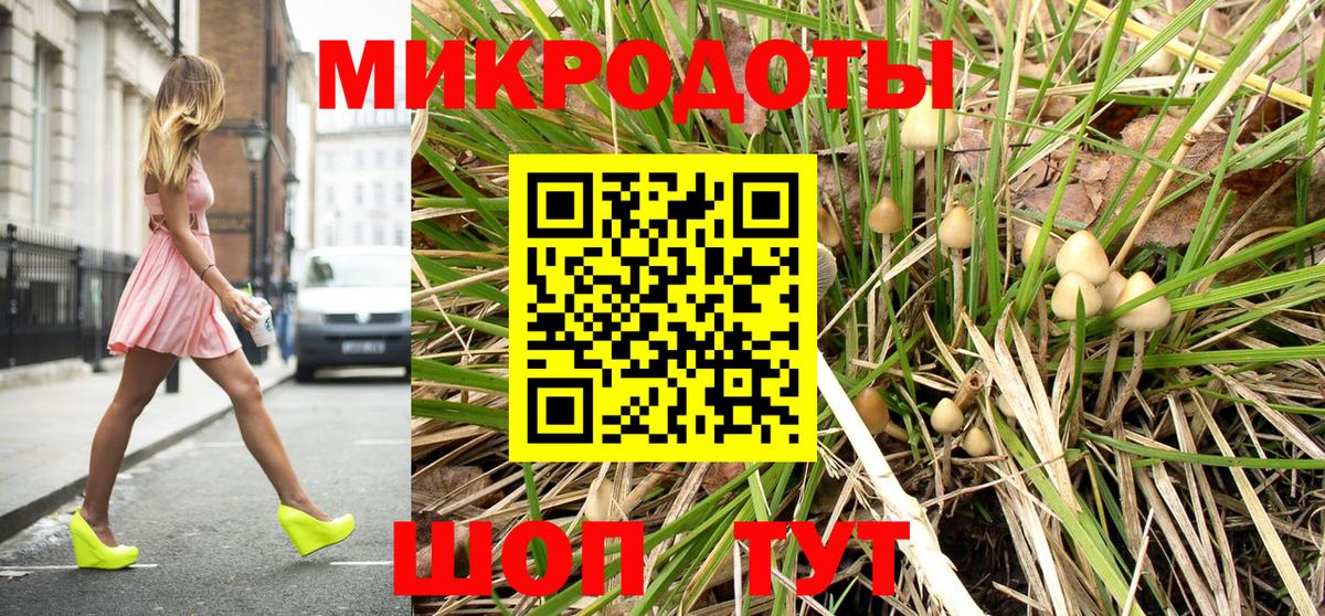 Ейск  Галлюциногенные грибы Psilocybe  Галлюциногенные грибы Psilocybe  Вход с VPN 